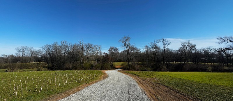 a freshly build gravel driveway winding through a field towards the treeline